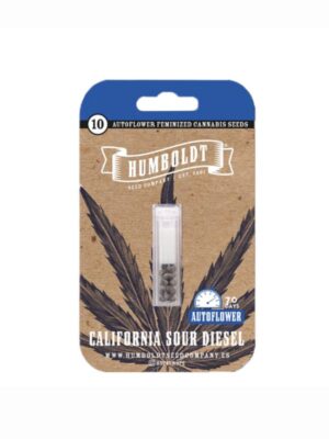 California Sour Diesel Auto Humboldt Seeds Company