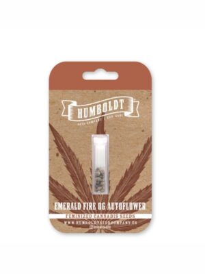 Emerald Fire OG Auto Humboldt Seeds Company