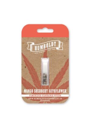 Mango Sherbert Auto Humboldt Seed Company