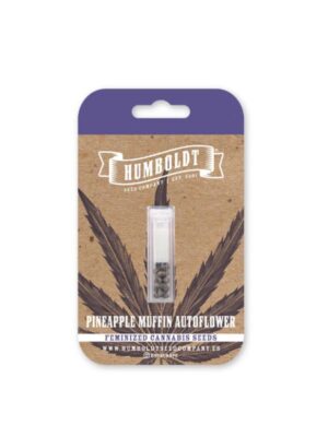 Pineapple Muffin Auto Humboldt Seed Company