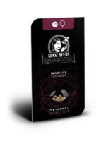 Black Lily (Sensi Seeds), feminisierte Samen – Bild 2