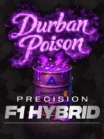 Durban Poison Strain (Barney's Farm), feminisierte Samen – Bild 2