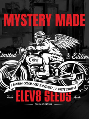 Mystery Made Strain (Elev8), feminisierte Samen