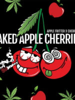 Baked Apple Cherries (Elev8), feminisierte Samen – Bild 2