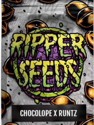 Chocolope x Runtz (Ripper Seeds), feminisiert