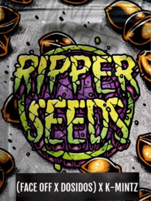 (Face off x Dosidos) x K-Mintz  (Ripper Seeds), feminisiert