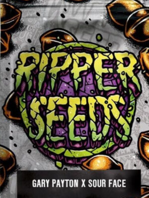 Gary Payton x Sour Face  (Ripper Seeds), feminisiert