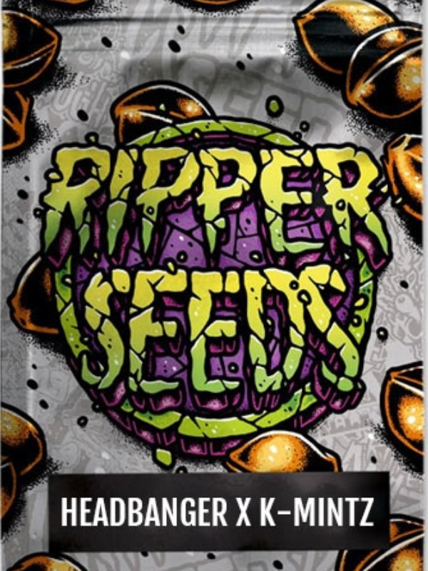 Headbanger Ripper Seeds Headbanger x K-Mintz (Ripper Seeds), feminisiert – Bild 1