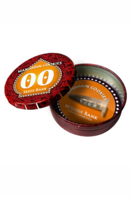 Mandarin Cookies (00 Seeds), feminisierte Samen